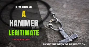 Two Chicks and a Hammer: Legitimate Business or Scam?