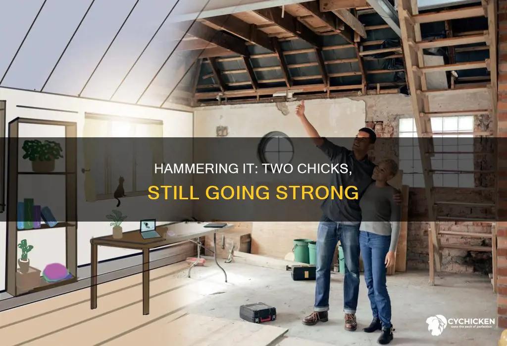 is two chicks and a hammer still in business