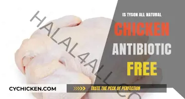 Is Tyson All Natural Chicken Antibiotic Free? The Truth Revealed