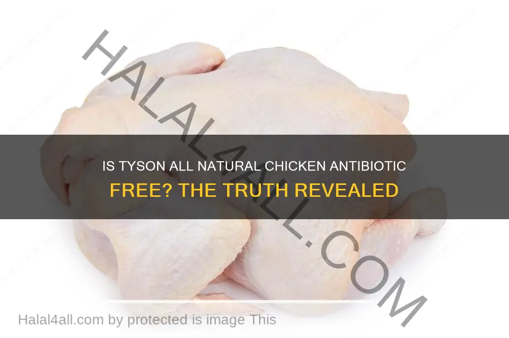 is tyson all natural chicken antibiotic free