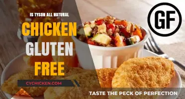 Is Tyson All Natural Chicken Gluten Free? A Detailed Review