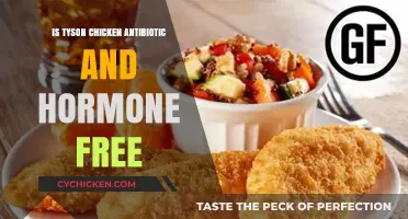 Is Tyson Chicken Antibiotic and Hormone Free? The Truth Revealed