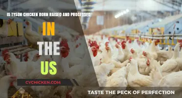 Where Does Tyson Chicken Come From?