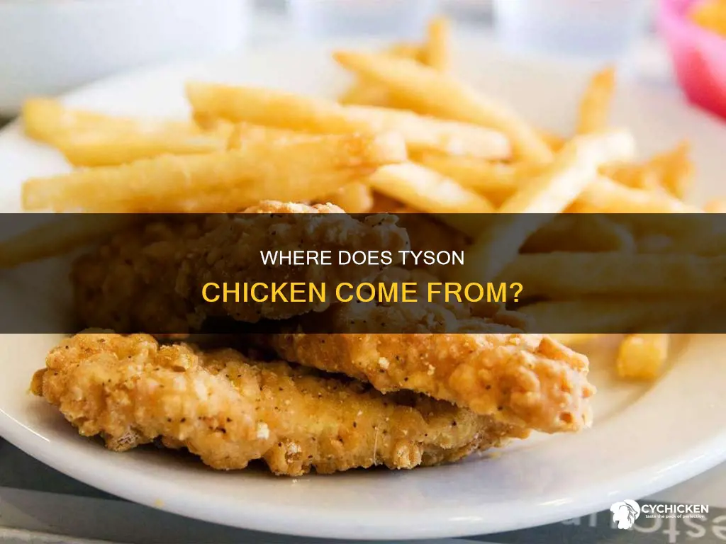 is tyson chicken born raised and processed in the us