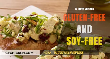Tyson Chicken: Gluten-Free and Soy-Free Options Explained