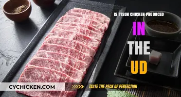 Is Tyson Chicken Produced in the UAE? Uncovering the Truth