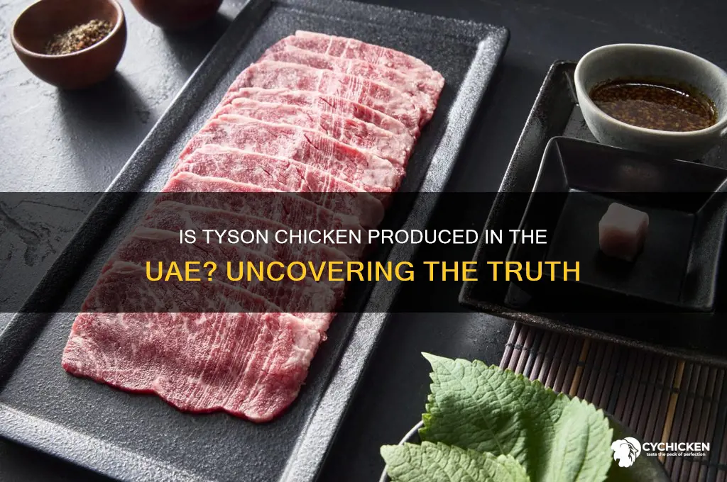 is tyson chicken produced in the ud
