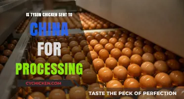Is Tyson Chicken Processed in China? Uncovering the Supply Chain Truth