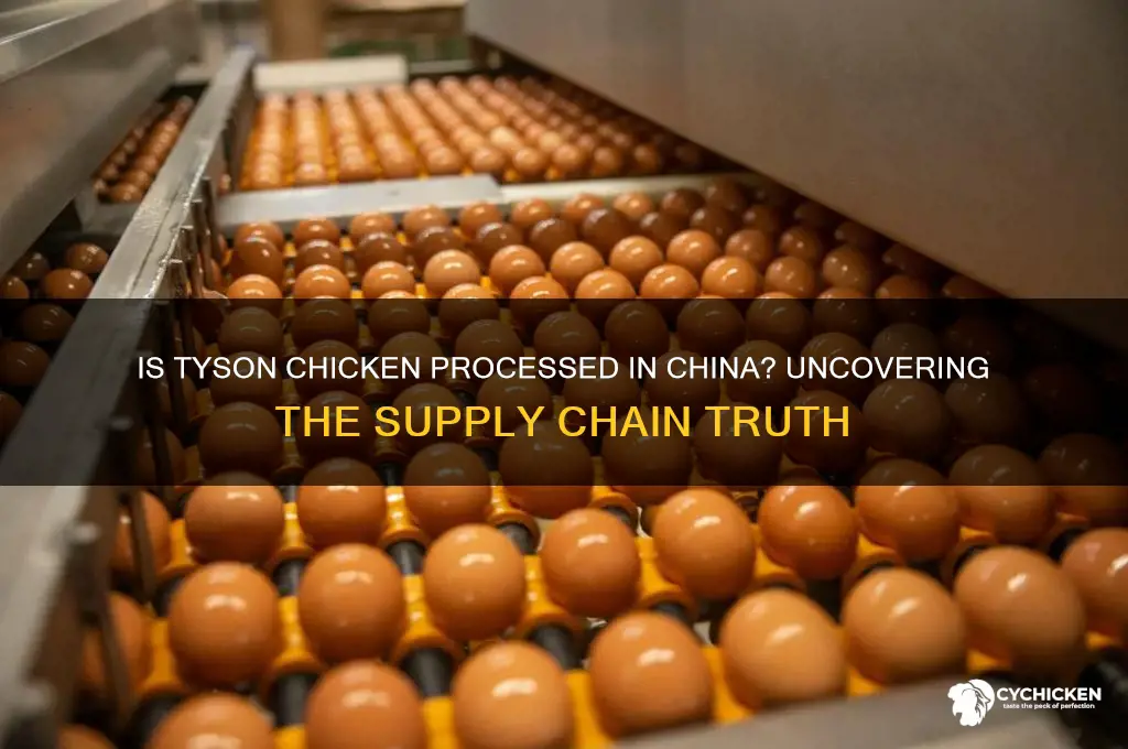 is tyson chicken sent to china for processing
