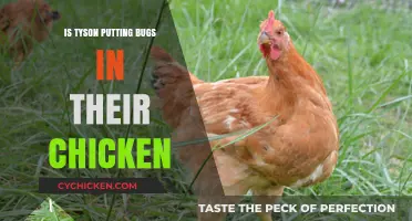 Tyson Chicken and Bugs: Separating Fact from Fiction in Food Claims