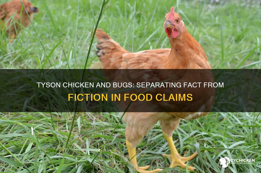 is tyson putting bugs in their chicken