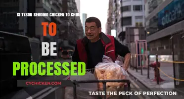 Tyson's Chicken Processing: China's Involvement