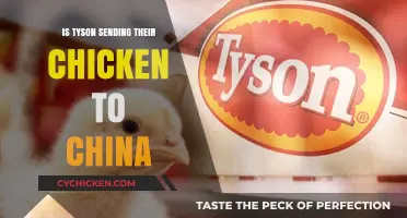 Tyson Chicken Exports to China: Fact-Checking the Rumors and Reality