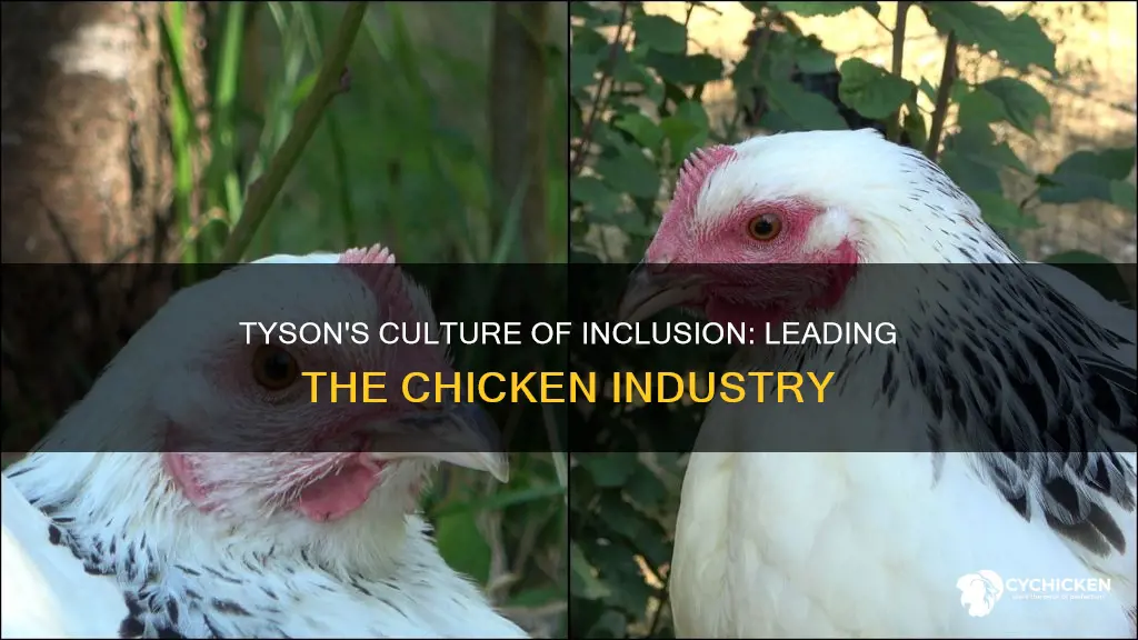 is tyson the most inclusive culture in the chicken industry