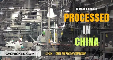 Is Tyson's Chicken Processed in China? Uncovering the Truth