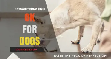 Can Dogs Safely Enjoy Unsalted Chicken Broth? A Pet Owner's Guide