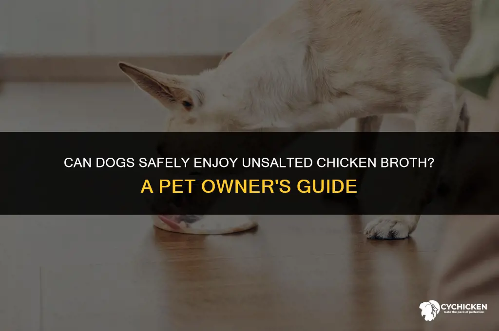 is unsalted chicken broth ok for dogs