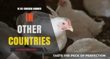 Why Some Countries Ban U.S. Chicken Imports: Key Concerns Explained