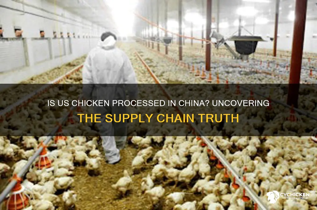 is us chicken being processed in china
