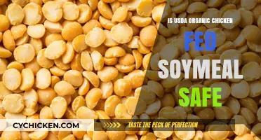 Is USDA Organic Chicken Fed Soymeal Safe for Consumption?