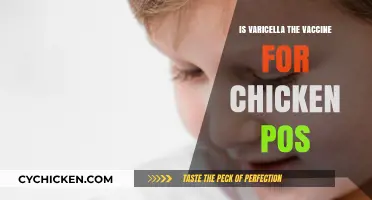 Varicella Vaccine: The Key to Preventing Chickenpox Explained