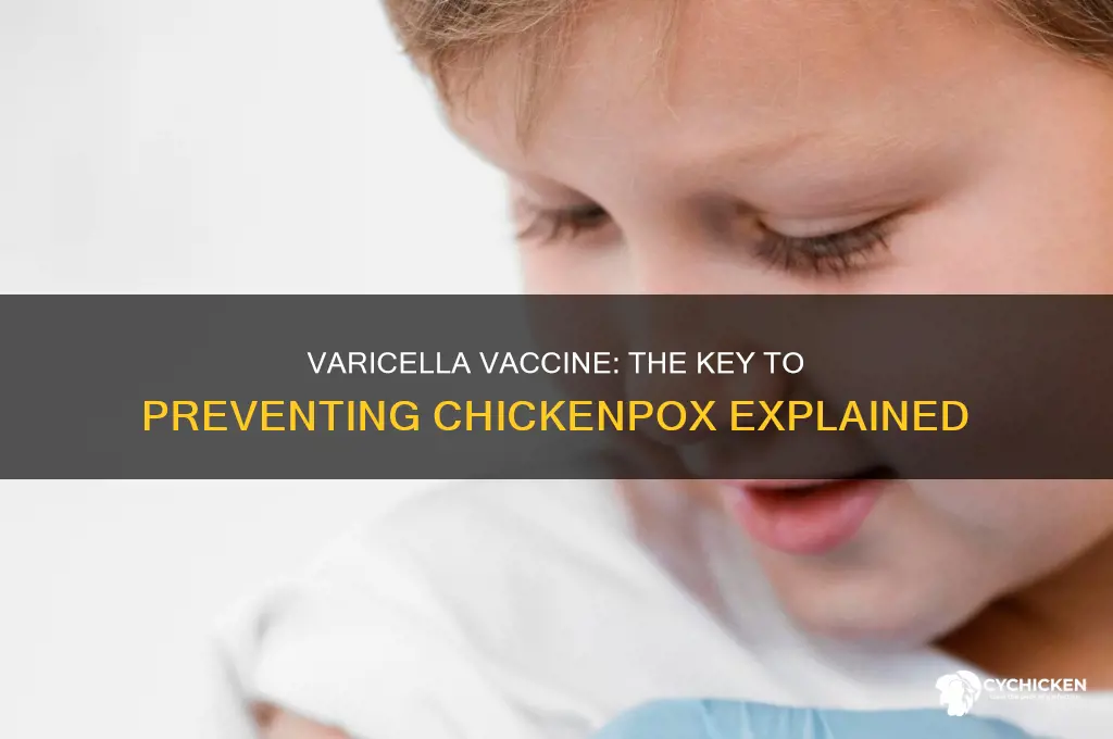 is varicella the vaccine for chicken pos