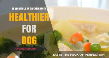 Vegetable vs. Chicken Broth: Which is Healthier for Your Dog?