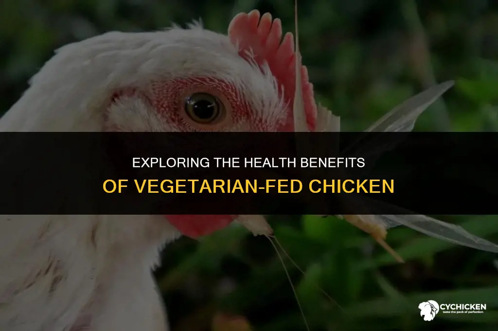 is vegetarian fed chicken healthy