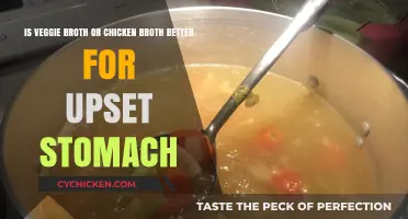 Soothe Your Stomach: The Broth Debate - Veggie vs. Chicken