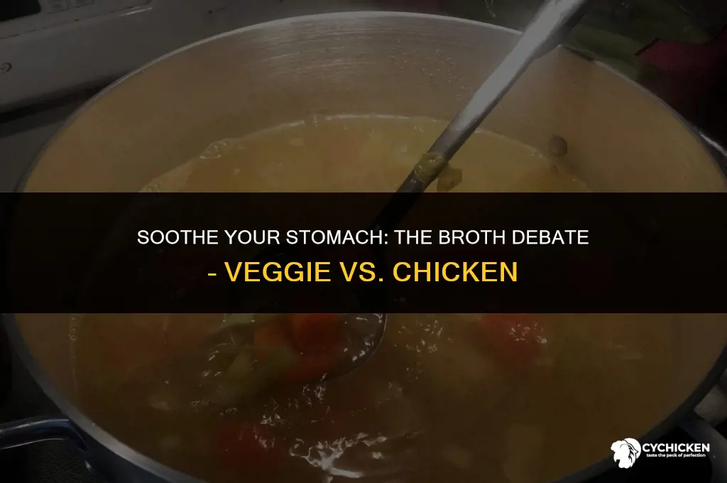 is veggie broth or chicken broth better for upset stomach
