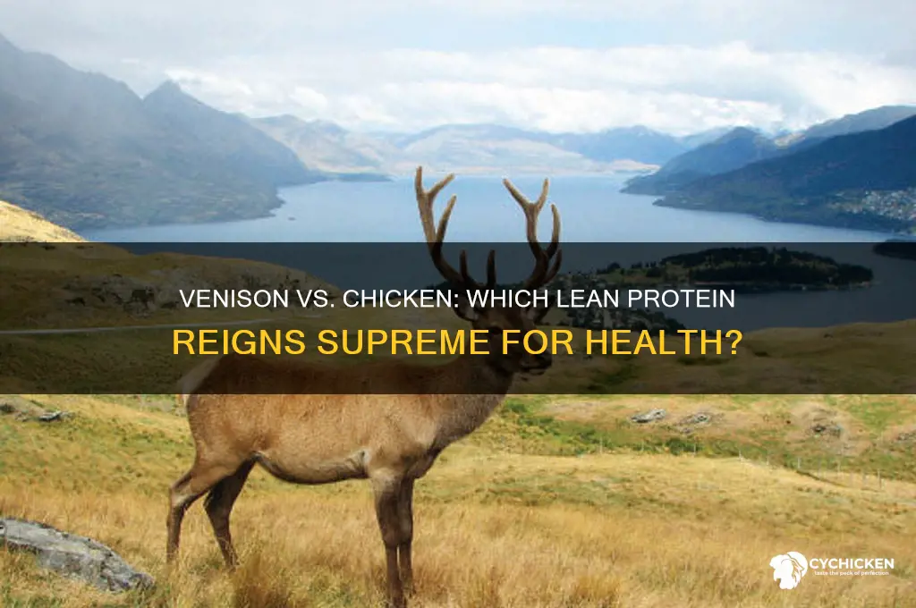 is venison better for you than chicken