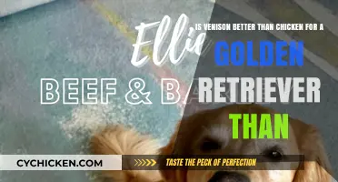 Why Venison is Superior to Chicken for Golden Retrievers