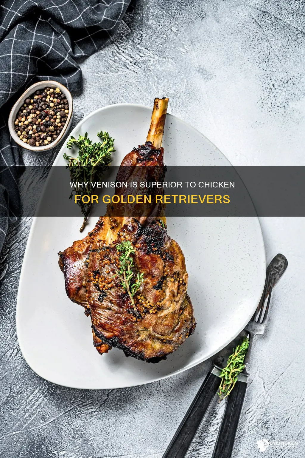 is venison better than chicken for a golden retriever than
