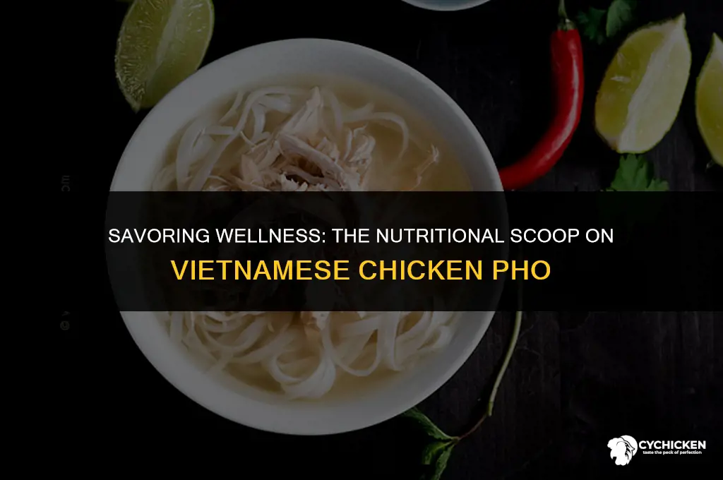 is vietnamese chicken pho healthy