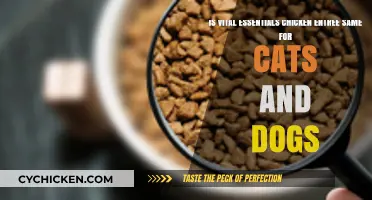 Vital Essentials Chicken Entrée: Safe for Cats and Dogs?