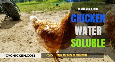 Is Vitamin A from Chicken Water-Soluble? Facts and Insights