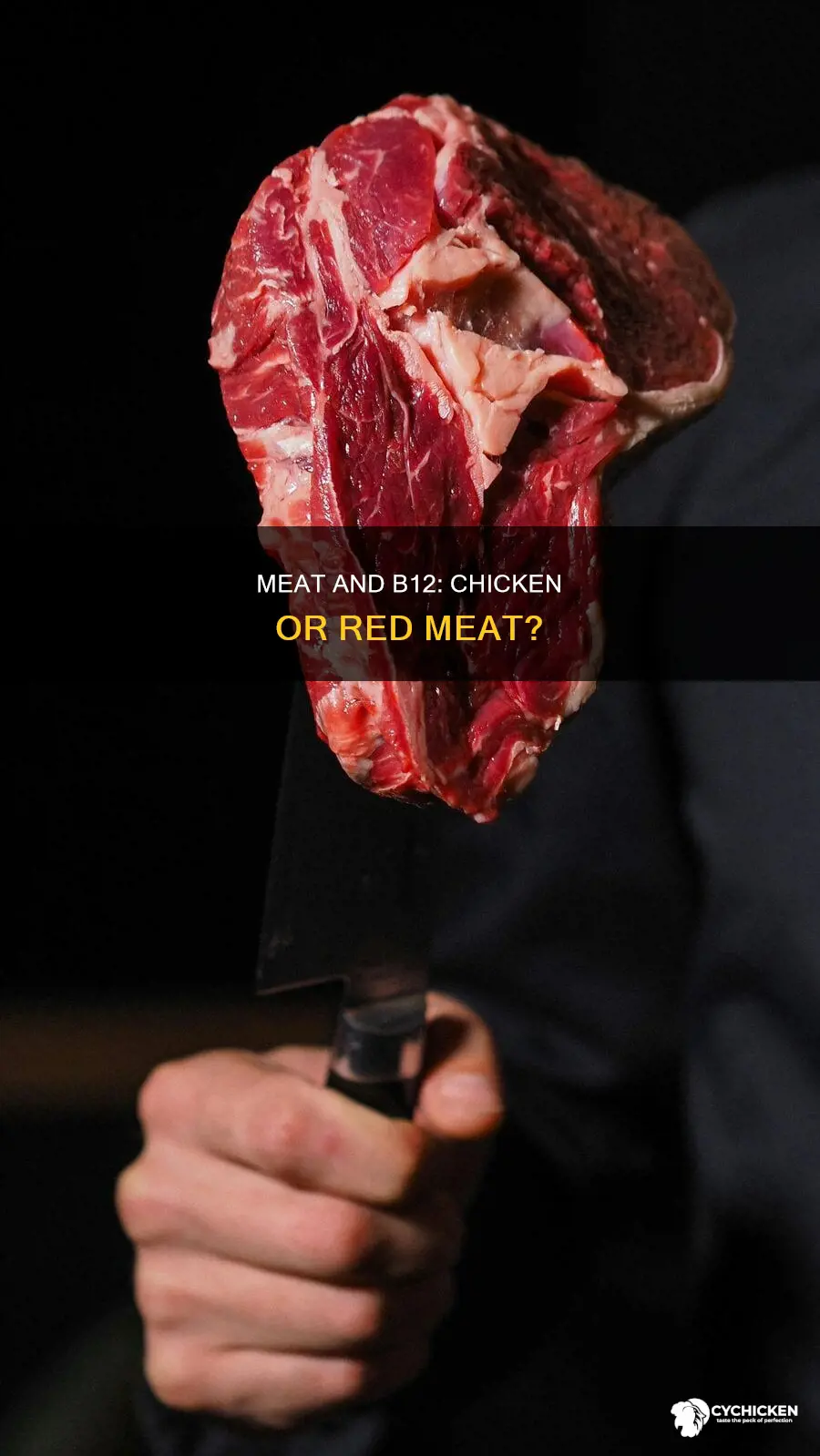 is vitamin b12 found in red meat or chicken
