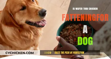 Is Wafer-Thin Chicken Fattening for Dogs? A Nutritional Analysis