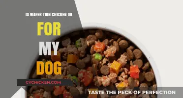 Wafer Thin Chicken Treats: Safe or Risky for Your Dog?