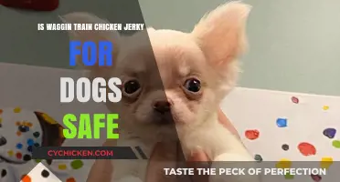 Is Waggin Train Chicken Jerky Safe for Your Dog?