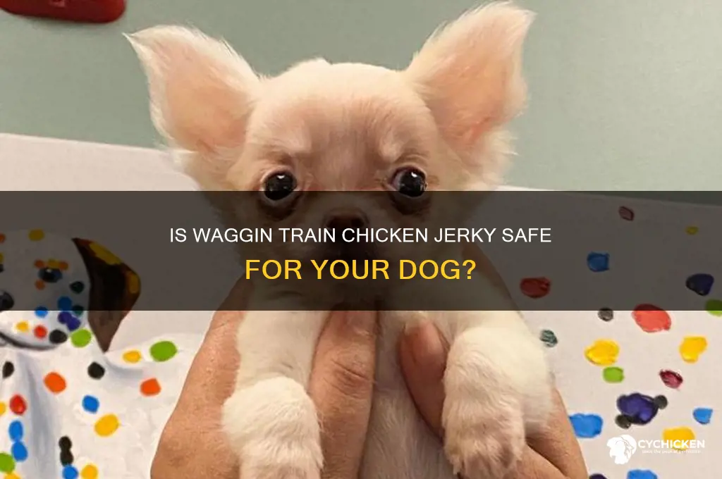 is waggin train chicken jerky for dogs safe