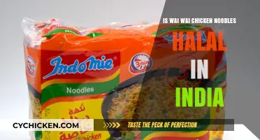 Is Wai Wai Chicken Noodles Halal in India? A Detailed Analysis