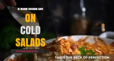 Warm Chicken on Cold Salads: Safe or Risky? Expert Insights