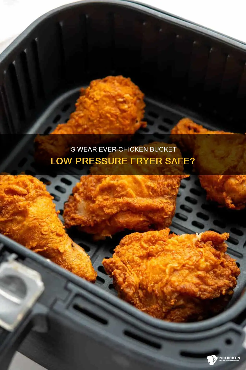 is wear ever chicken bucket low pressure fryer safe