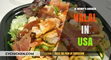 Is Wendy's Chicken Halal in the USA? What You Need to Know