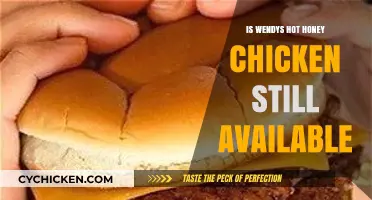 Is Wendy's Hot Honey Chicken Still on the Menu?