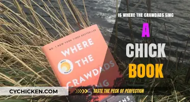 Is 'Where the Crawdads Sing' a Chick Lit Novel?