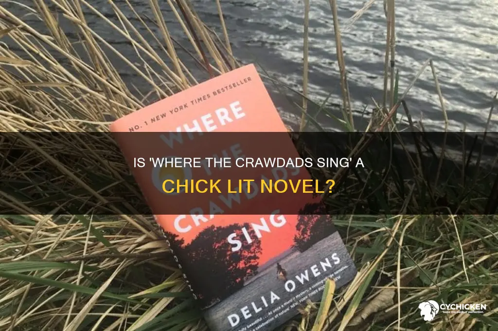 is where the crawdads sing a chick book