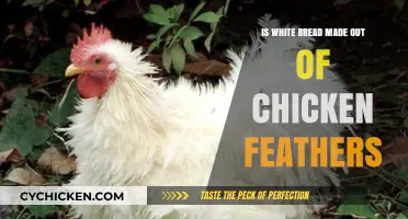 White Bread and Chicken Feathers: Unraveling the Surprising Ingredients Myth