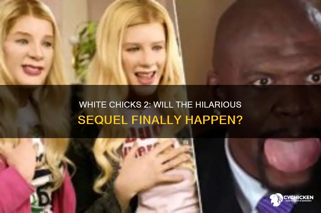is white chicks 2 going to happen